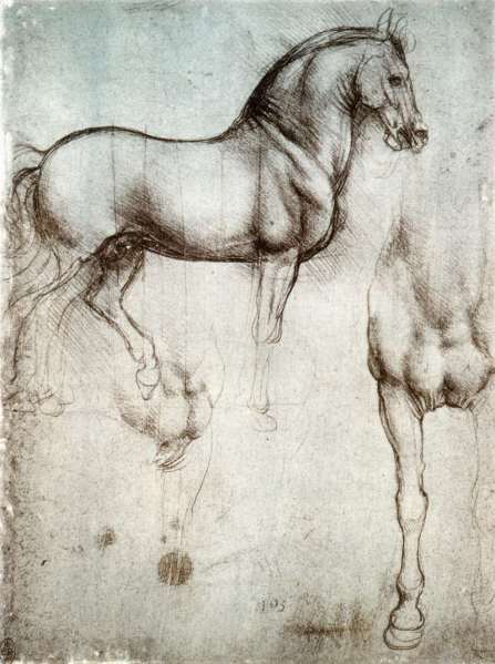 Leonardo da Vinci. Estudio de un caballo. Hacia 1490. Libreria Real. Windsor. Gran Bretaña.