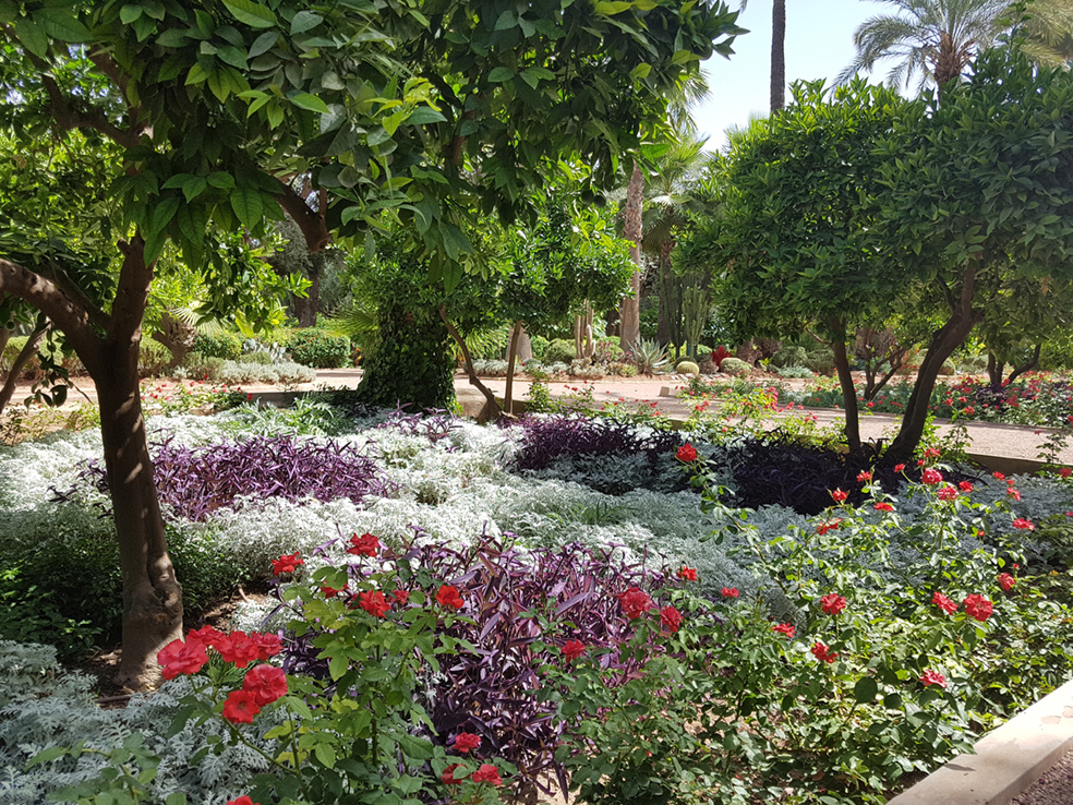 jardines la mammunia01