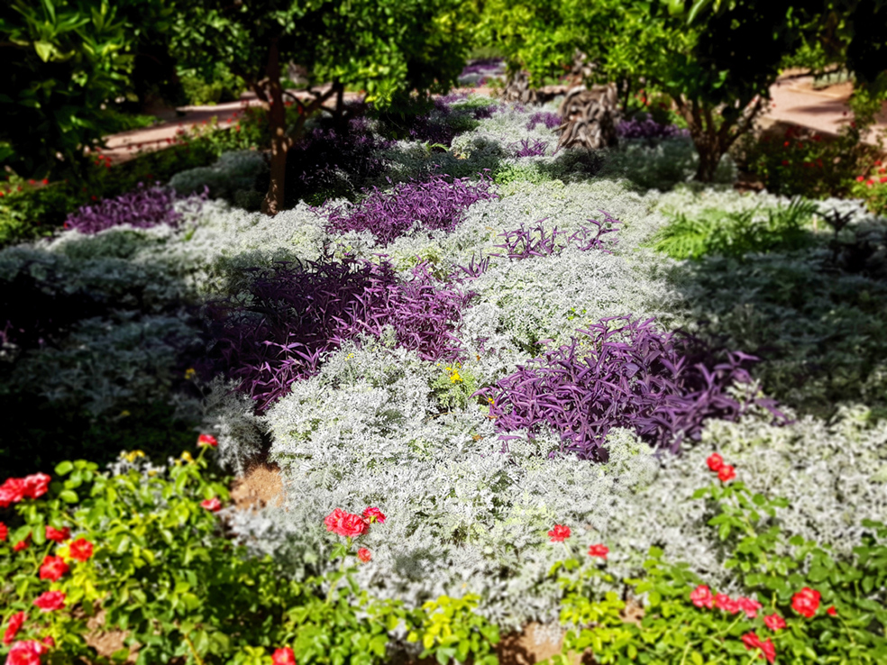 jardines la mammunia
