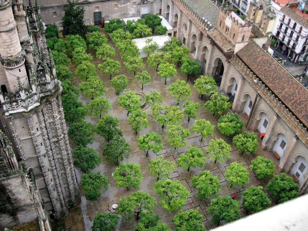 Patio de los Naranjos. Catedral de Sevilla.