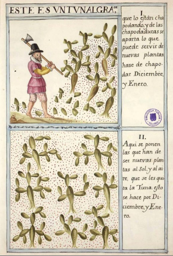 Anónimo. Cultivo de la cochinilla en el Perú. Biblioteca Virtual del Patrimonio Bibliográfico. España.